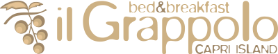 Il Grappolo Bed & Breakfast
